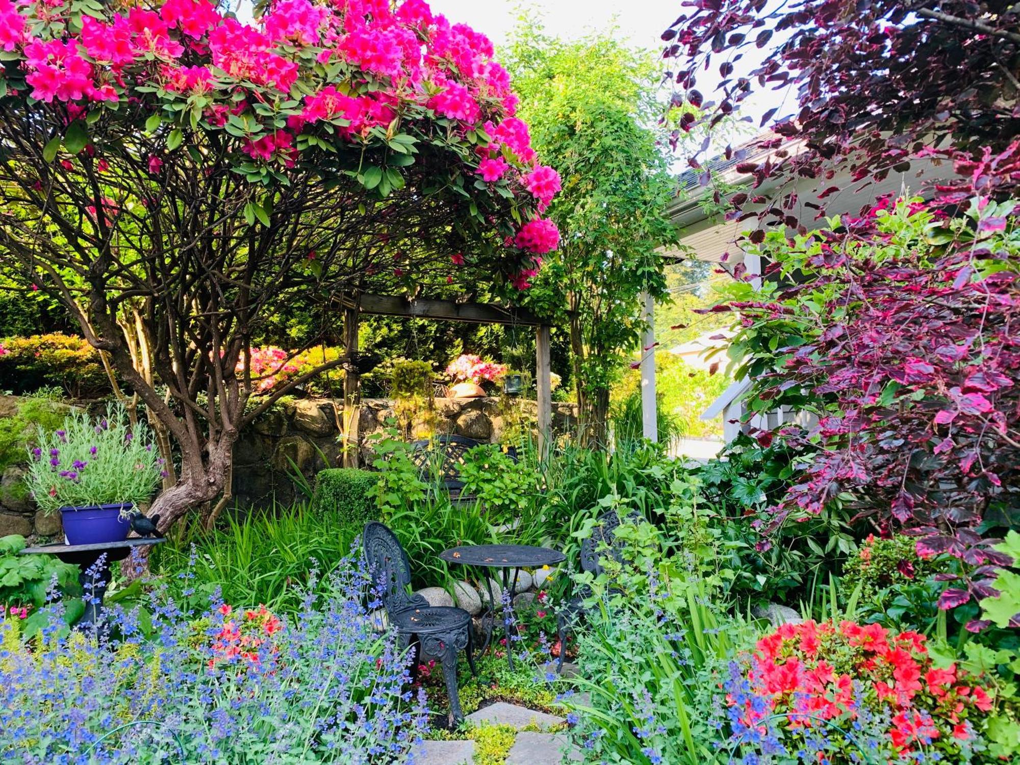 Crystal'S View Bed & Breakfast North Vancouver Exteriör bild